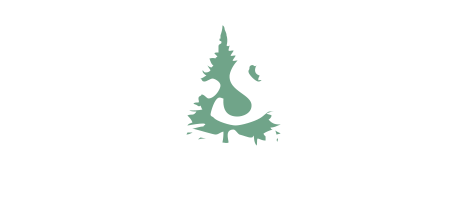 Norstate FCU Large Logo