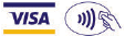 Visa Pay Logo